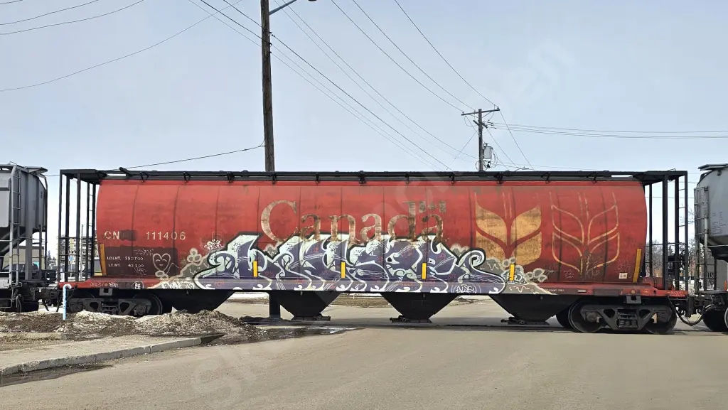 CN111406 - NORTH-AMERICA