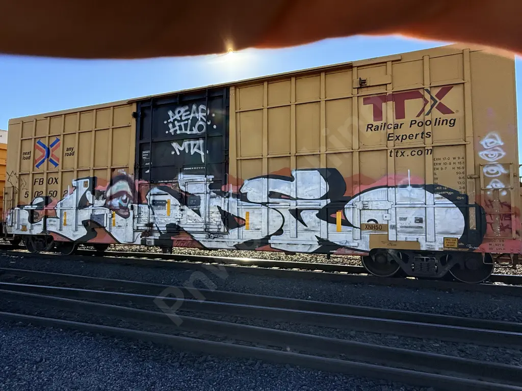 FBOX502502 - NORTH-AMERICA