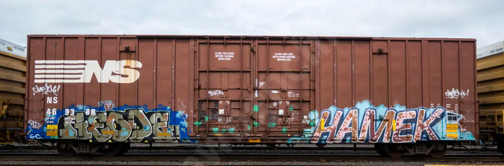 NS469388 - NORTH-AMERICA