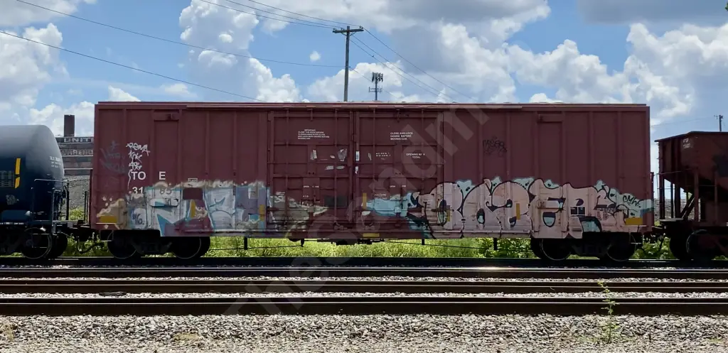 TOE3185 - NORTH-AMERICA