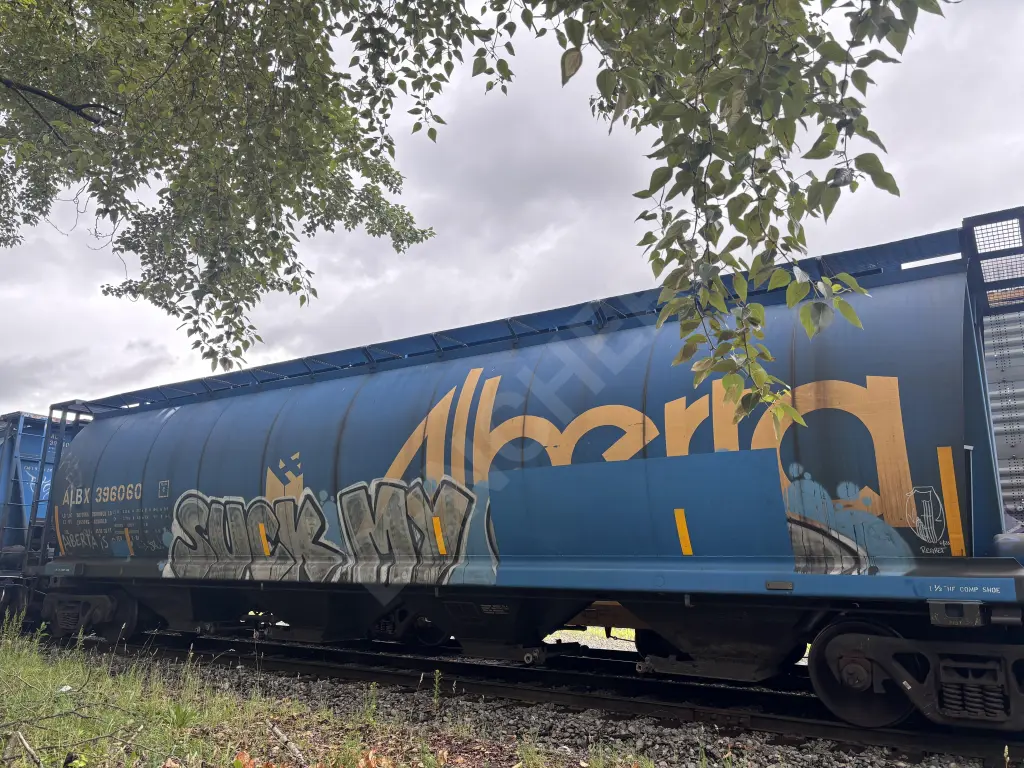ALBX396060 - NORTH-AMERICA