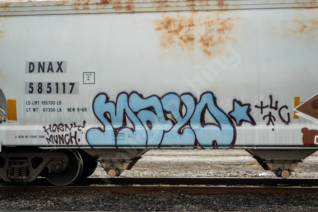DNAX585117 - NORTH-AMERICA