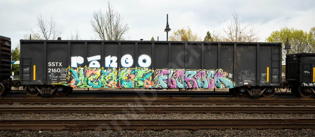SSTX2160 - NORTH-AMERICA