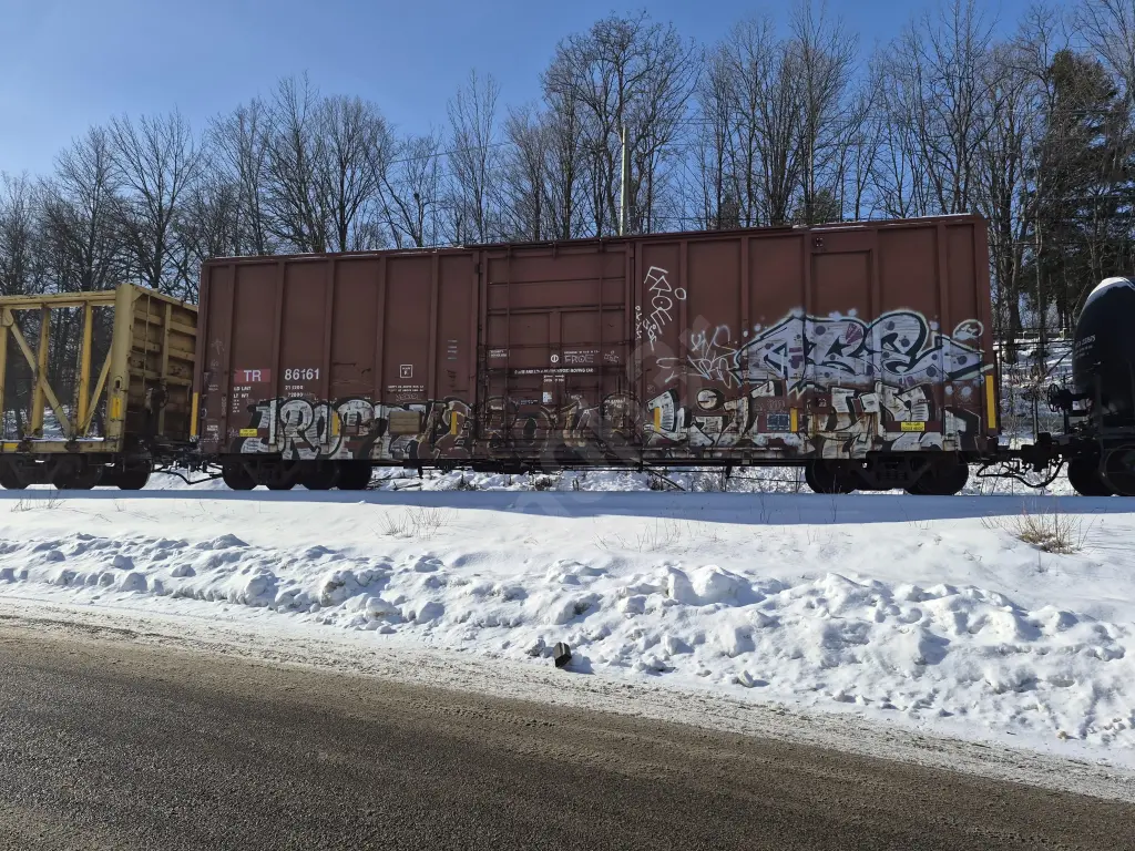 TR86161 - NORTH-AMERICA