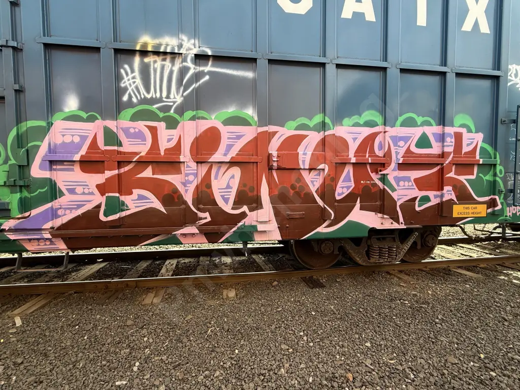 BKTY158013 - NORTH-AMERICA