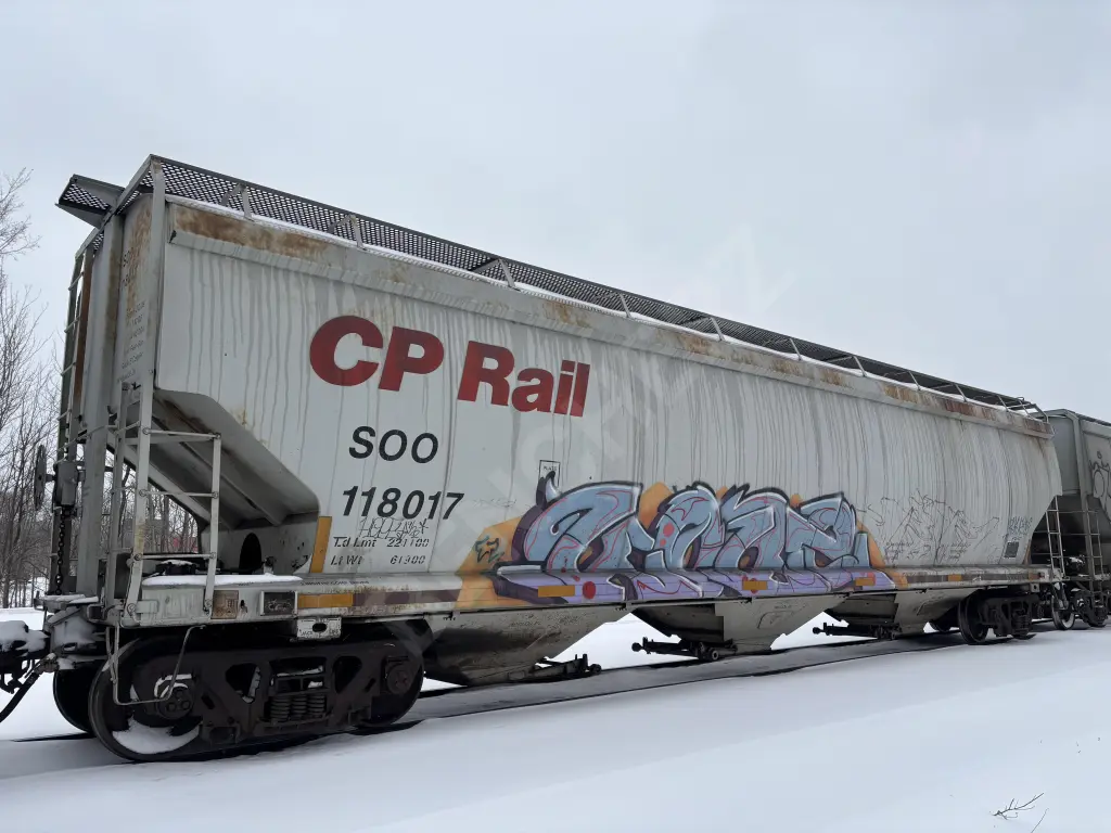SOO118017 - NORTH-AMERICA