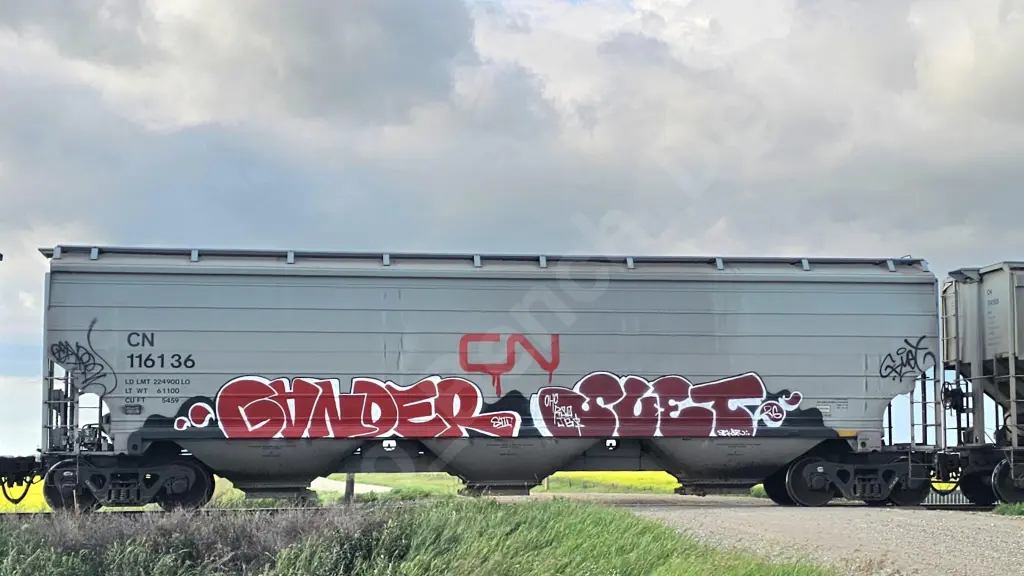 CN116136 - NORTH-AMERICA