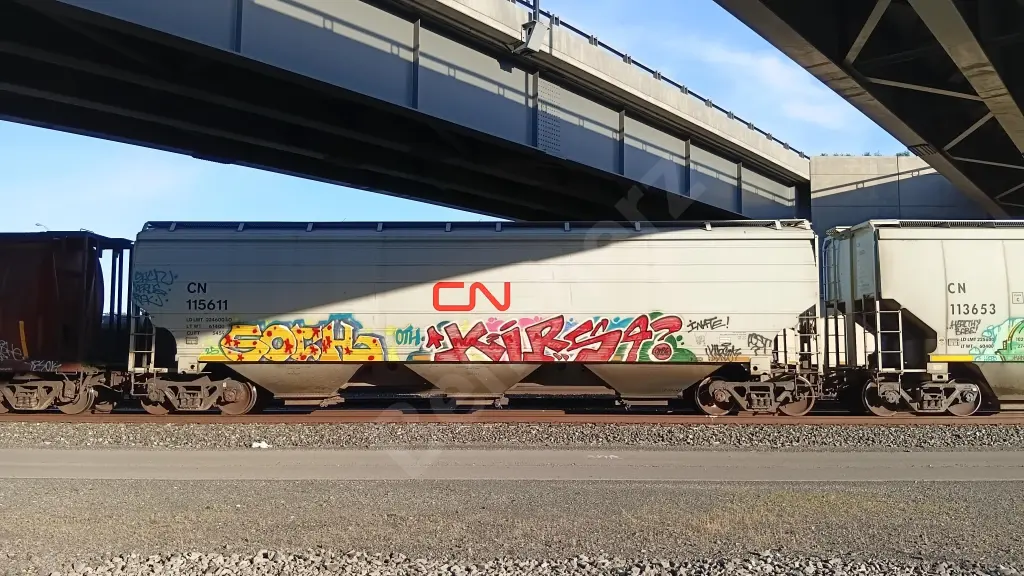 CN115611 - NORTH-AMERICA