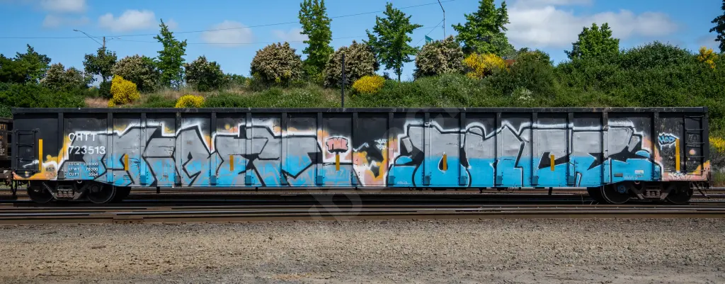 CHTT723513 - NORTH-AMERICA