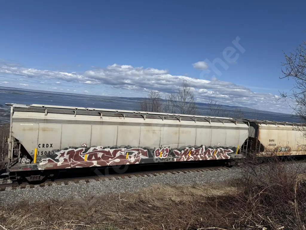 CRDX15083 - NORTH-AMERICA