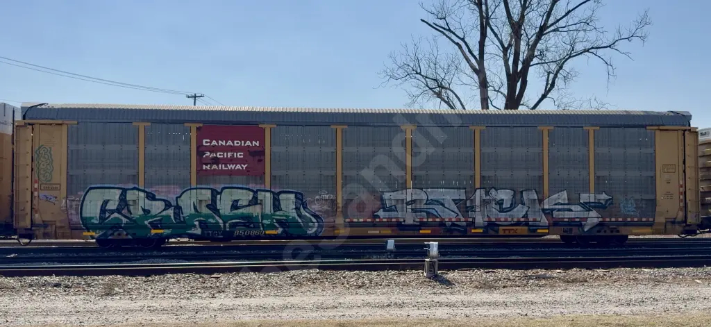 TTGX850860 - NORTH-AMERICA