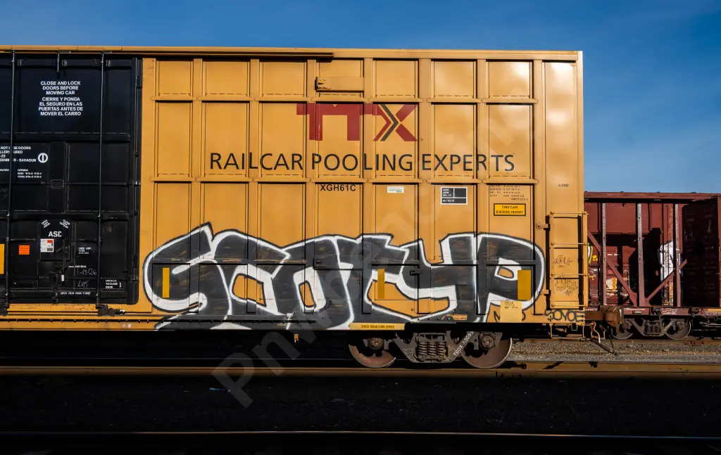 TBOX630557