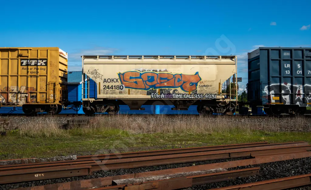 AOKX244180 - NORTH-AMERICA