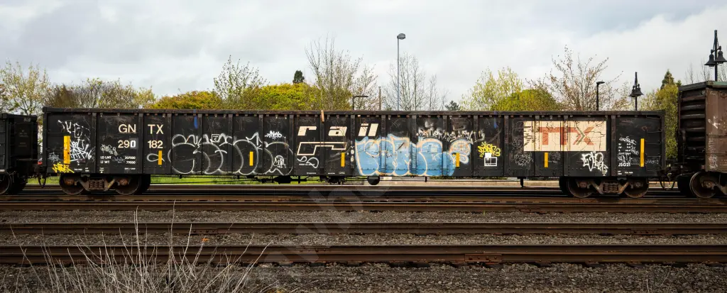GNTX290182 - NORTH-AMERICA