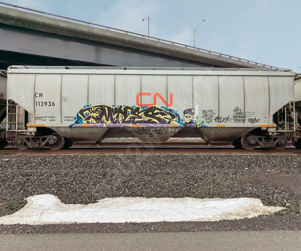 CN113936 - NORTH-AMERICA