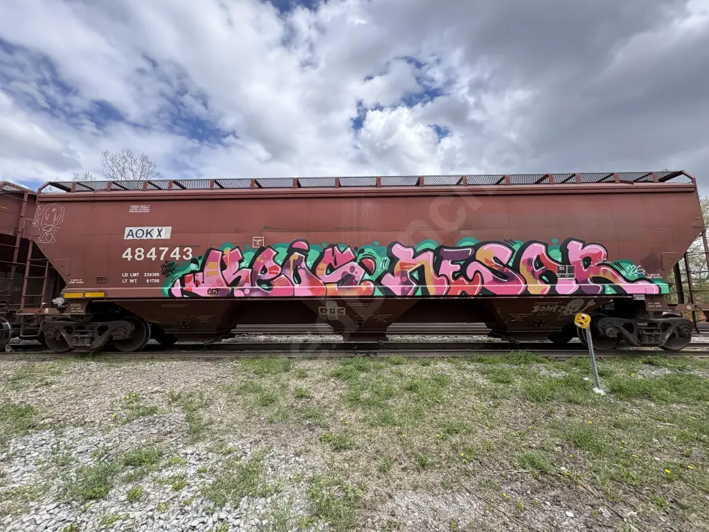 AOKX484743 - NORTH-AMERICA