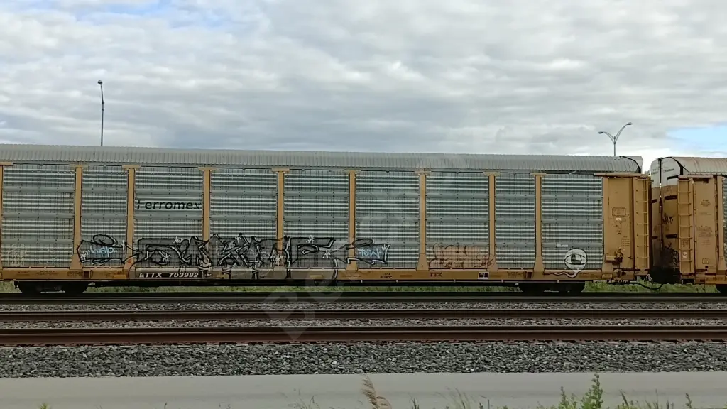 ETTX703982 - NORTH-AMERICA