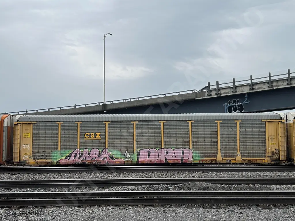 TTGX986049 - NORTH-AMERICA