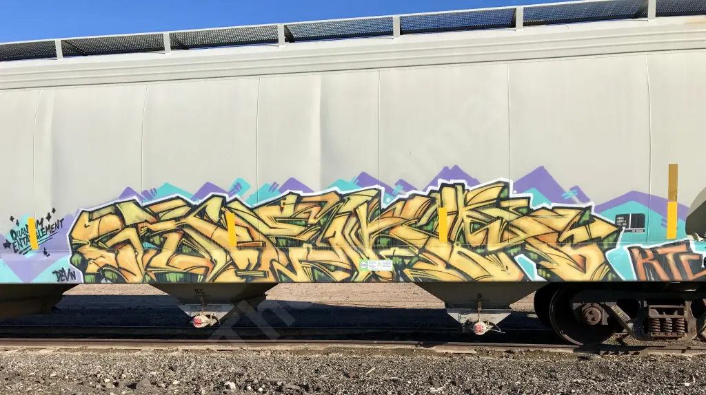 Train photo