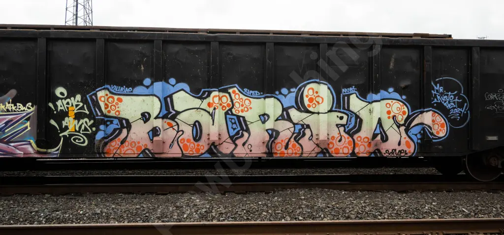 CHTT214392 - NORTH-AMERICA