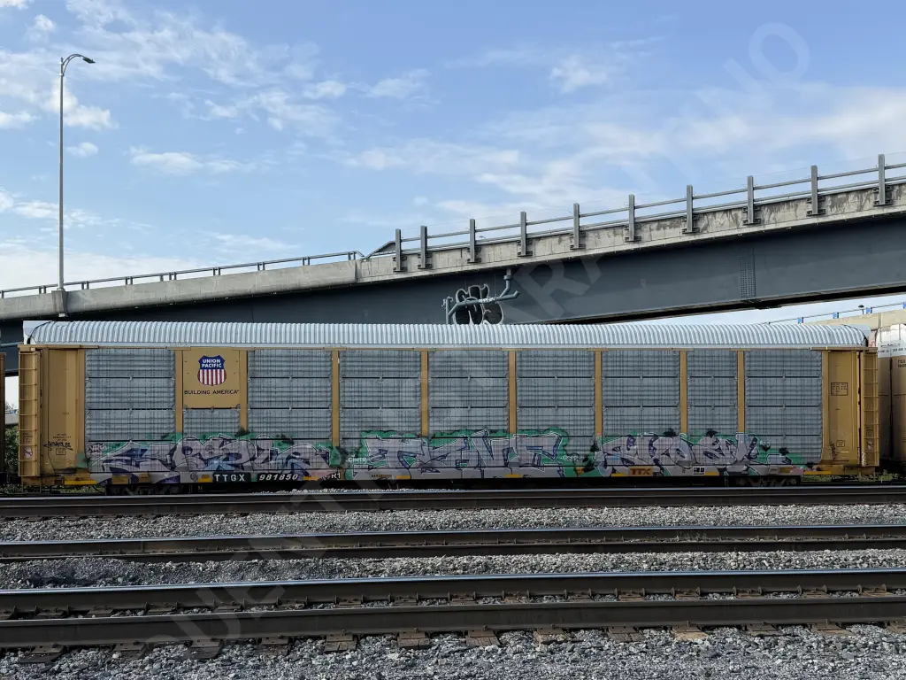 TTGX981850 - NORTH-AMERICA