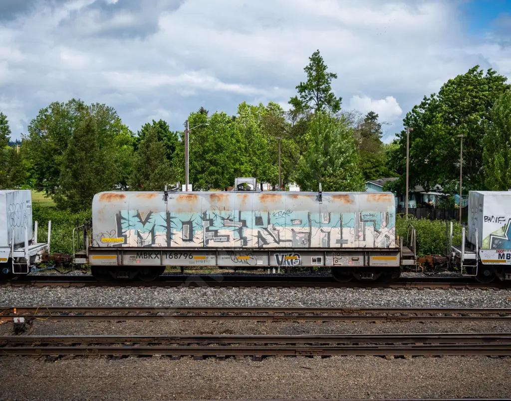 MBKX168796 - NORTH-AMERICA