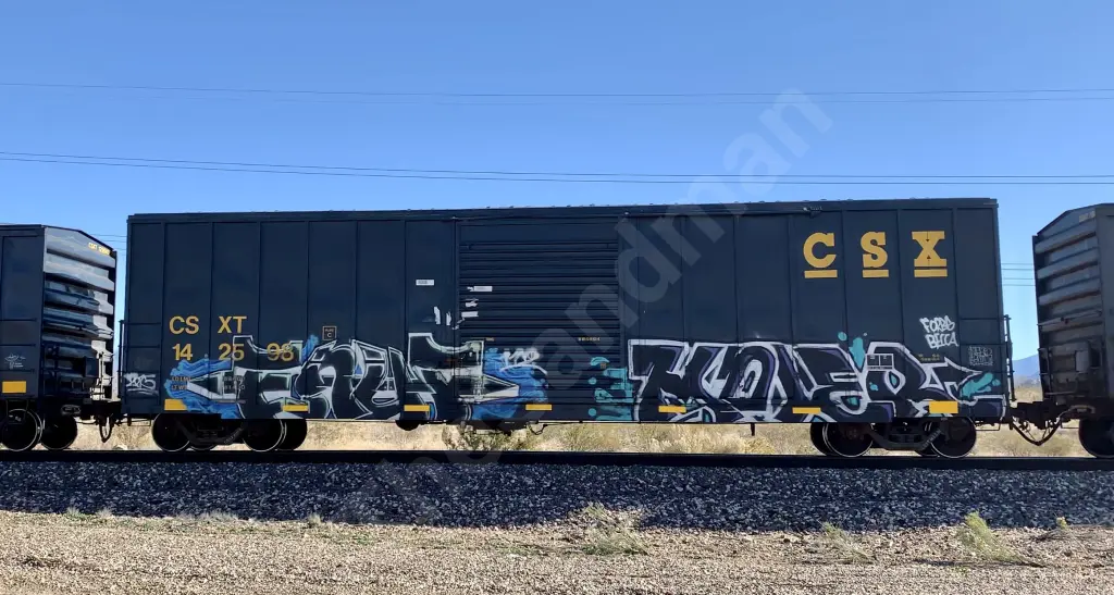 CSXT142598 - NORTH-AMERICA