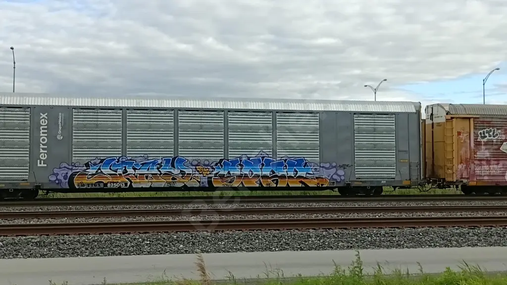TTGX825013 - NORTH-AMERICA