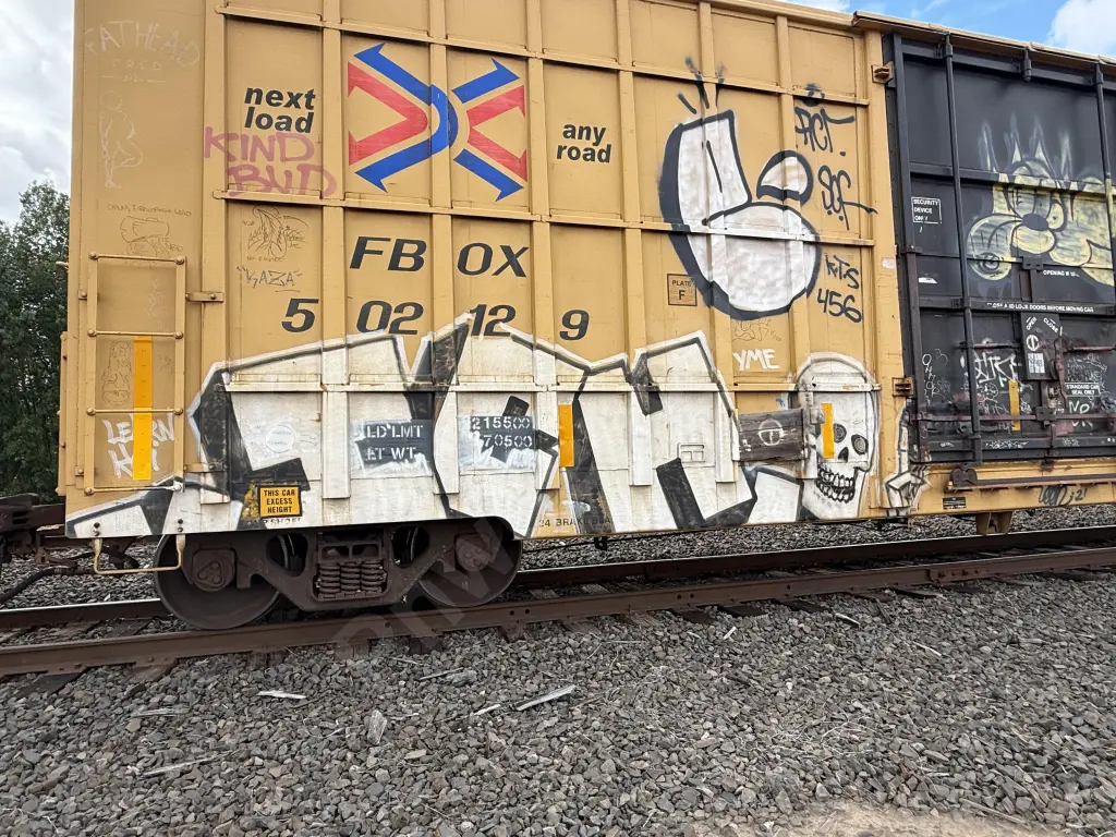 FBOX502129 - NORTH-AMERICA