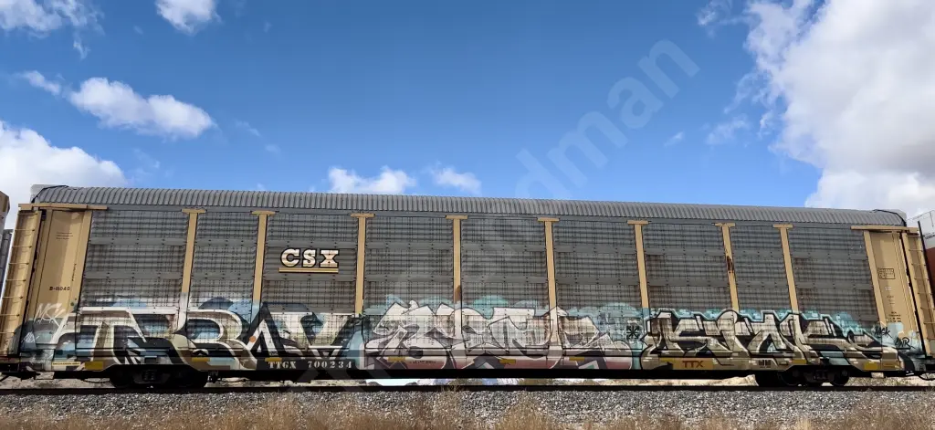 TTGX700234