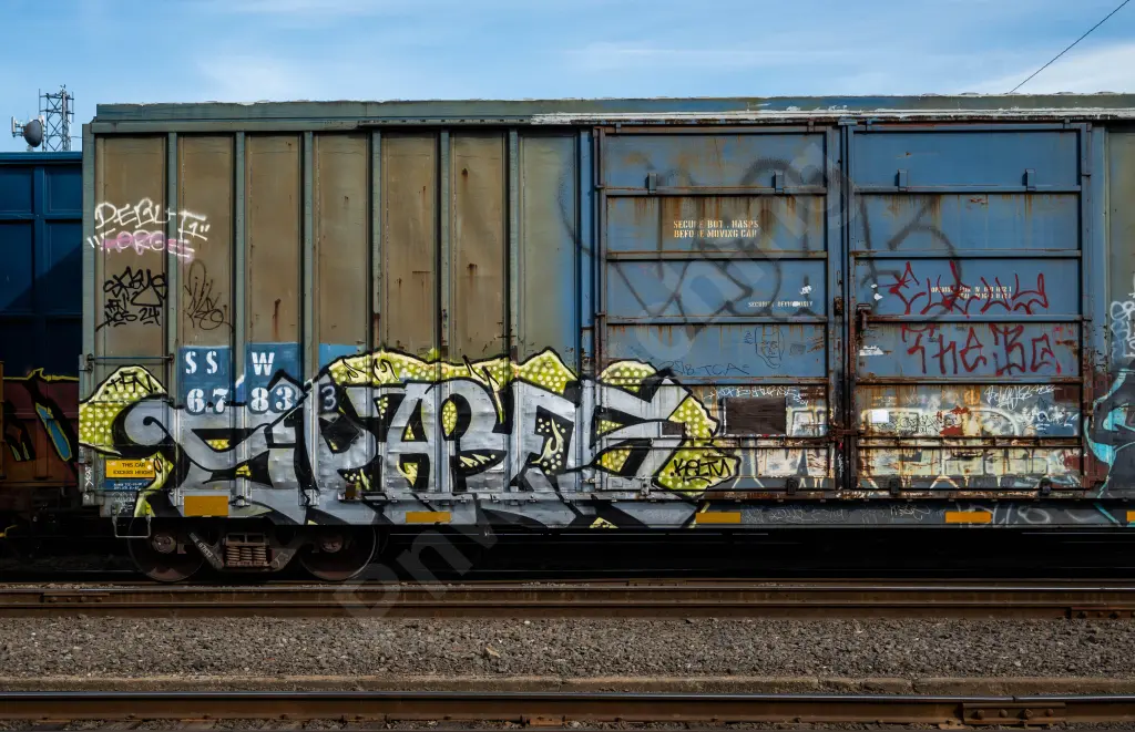 SSW67833 - NORTH-AMERICA