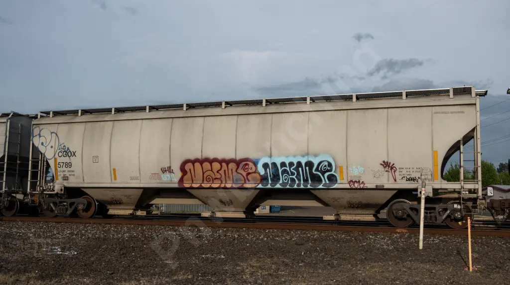 CGOX5789 - NORTH-AMERICA