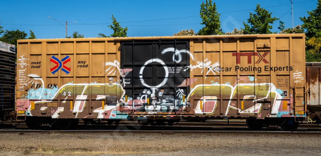 FBOX506642 - NORTH-AMERICA