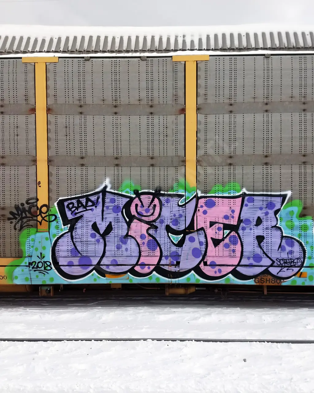 #11108 - NORTH-AMERICA