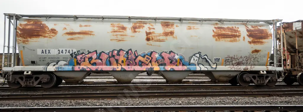 AEX24741 - NORTH-AMERICA