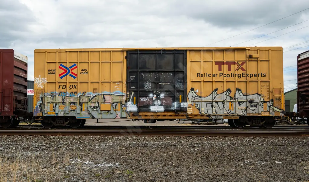 FBOX505886 - NORTH-AMERICA