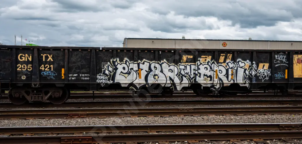 GNTX295421 - NORTH-AMERICA