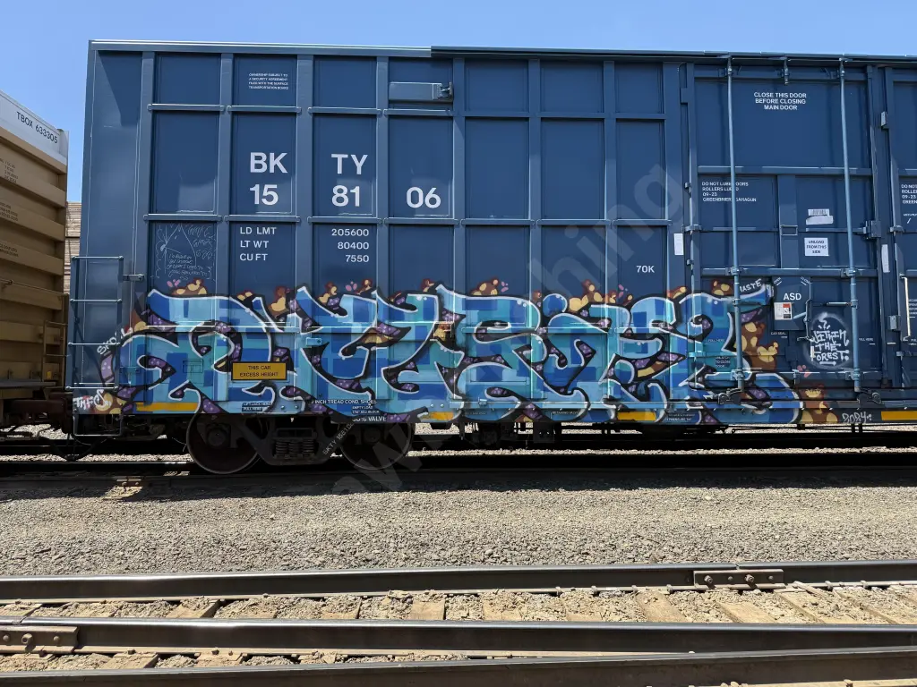 BKTY158106 - NORTH-AMERICA