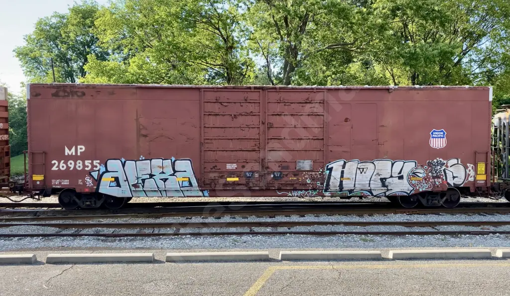 MP269855 - NORTH-AMERICA