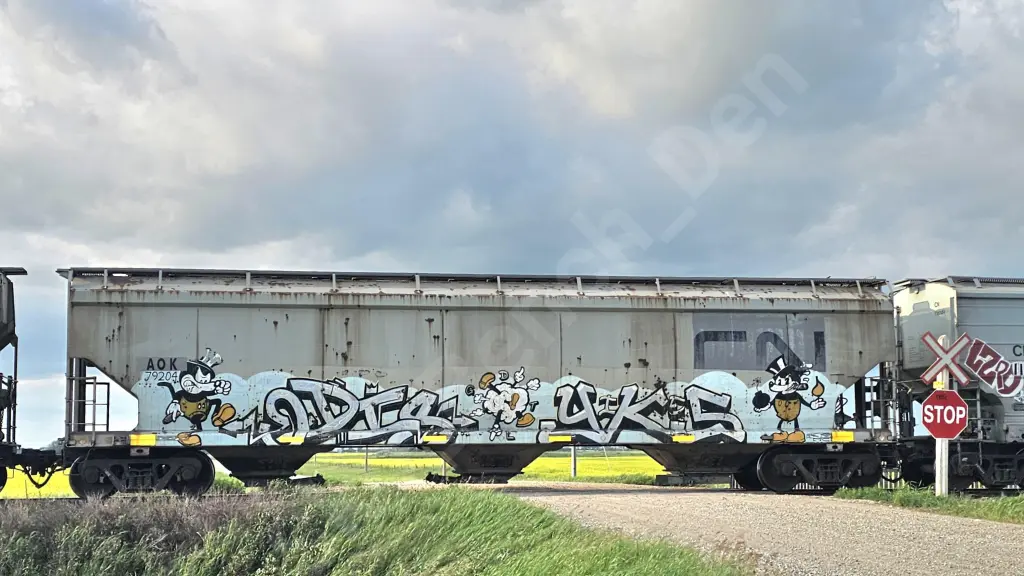 AOK79204 - NORTH-AMERICA