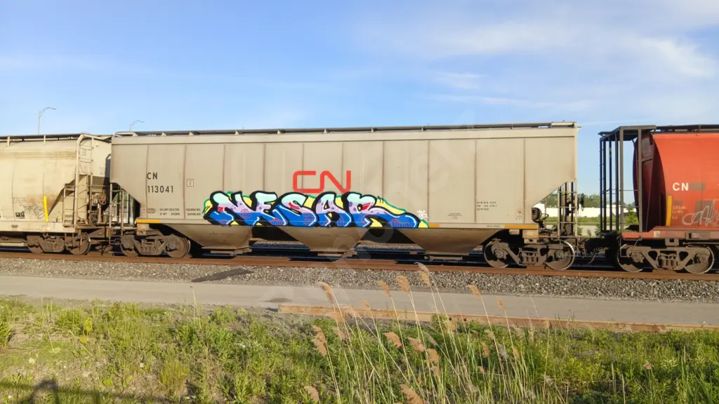 CN113041 - NORTH-AMERICA