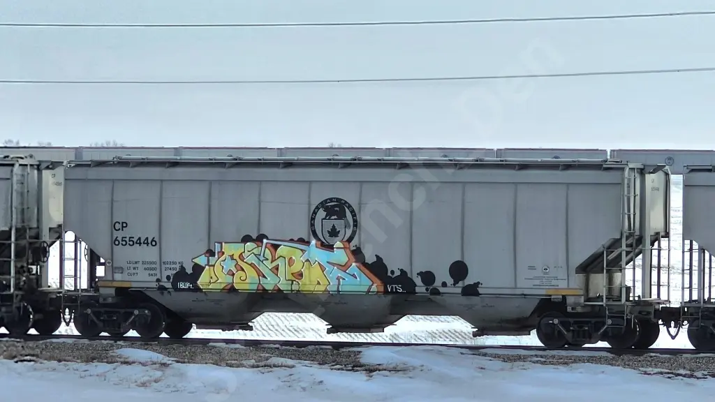 CP655446 - NORTH-AMERICA