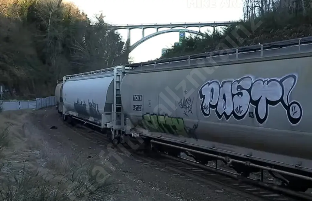 TCMX451103 - NORTH-AMERICA