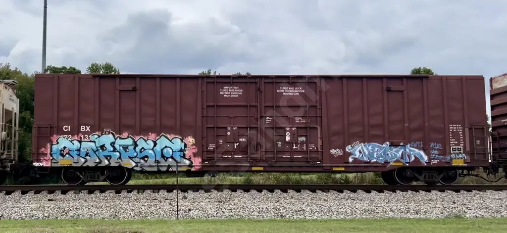 CIBX172131 - NORTH-AMERICA