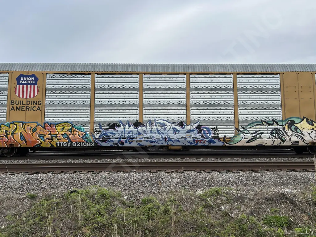 TTGX821082 - NORTH-AMERICA