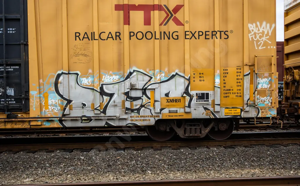 TBOX667287 - NORTH-AMERICA