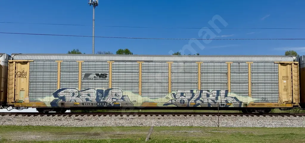 TTGX707143 - NORTH-AMERICA