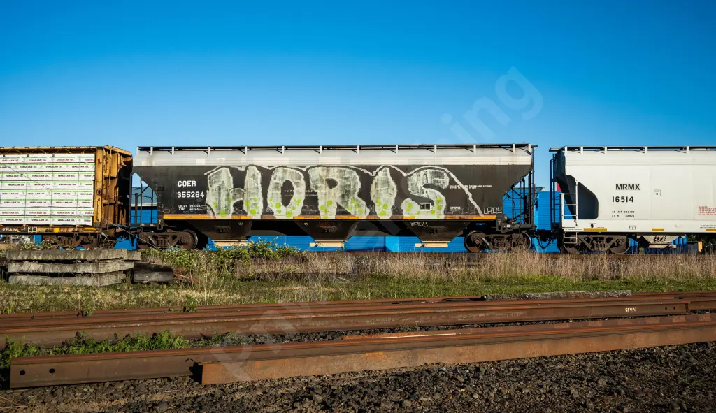 COER355264 - NORTH-AMERICA