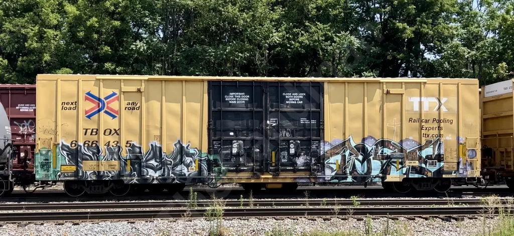 TBOX666435 - NORTH-AMERICA