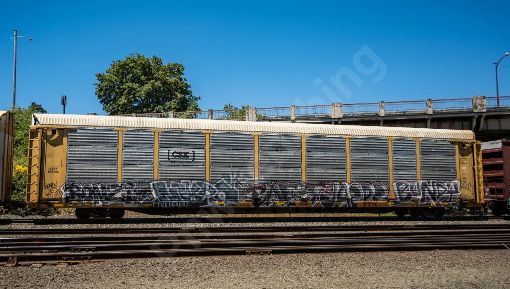 TTGX864647 - NORTH-AMERICA